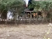 真实偷拍桥底野战