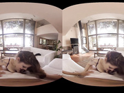 Fitness Virtual Reality sex 3