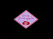 愛姉妹2 第1夜「帰ってきた偏愛の父」.rmvb