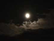 [ALDN-291] 瞒着丈夫拜托继父的孕期活动 三岳ゆうな【破解】 - 1of5