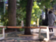 [SMKCX-010] 完全昏眠-4名- 晴天球児マネージャー  服飾専門校在籍（22） - 1of5