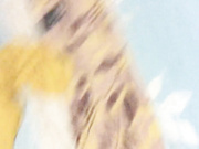 精品推薦 老婆的表妹最近被老公拋棄了來家裏吃飯被灌醉任意玩弄 無套內射中出 720P高清