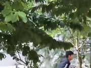 最新门事件刚放假某省财经大学宿舍没装空调情侣跑到院子里的树荫下啪啪几个同学躲在宿舍里偷窥调侃