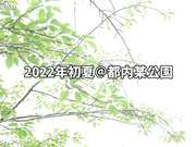 [破解]WAAA-224  お前らチ○ポ洗って待っとけよ！ M男クンの自宅にいきなり家凸！ W小悪魔SEXデリバリー！！ 佐野なつ 枢木あおい - 1of5