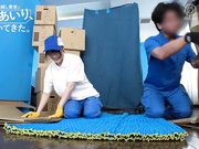 [破解]ABF-293 铃村爱理被一群男搬家工撂下了 - 3of5