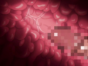 [脸肿字幕组][171013][せるふぃっしゅ] 気に入った膣にいきなり中出しOKなリゾート島 part2