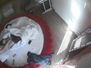 钟点炮房水滴监控TP貌似很赶时间的一对偷情男女骚女戴着文胸上位屁股扭的非常好看