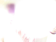 Nami Grand line Collector's Editio