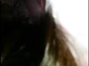 可爱的大学生女友周末在宿舍给男朋友吹硬大鸡巴啪啪