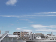 [ADN-119] 夫の目の前で犯されて― 外伝 あなた嘘よ、信じないで