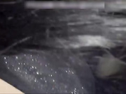 【丝袜美腿系列】黑丝披肩情人手扶鸡巴无套引导入骚穴 快速顶操骚货啊啊浪叫 奋起按到爆操 高清无水印版