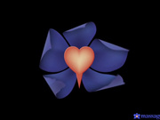 MassageRooms.18.11.28.Lady.Bug