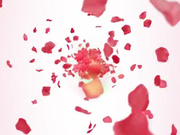 DadCrush.18.12.30.Kayla.Paris.Slurp.And.Sip.My.Nips