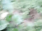 气质良家少妇主播小梅勾搭个像村官模样的胖大叔宾馆开房大叔的短鸡巴搞两下就射了