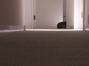 [SHKD-600] 脱獄者 夏目彩春