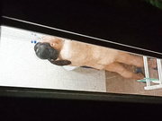 偷拍楼下邻居少妇洗澡奶头粉粉的真大