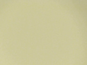 大膽坑神萬達高檔餐廳公共衛生間偷拍各式美女少婦如廁 饅頭逼逼雪白肥臀看得讓人欲火焚身 1080P高清原版