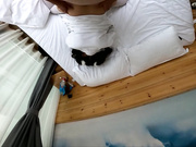 极品少女洛丽塔『喵喵』户外啪啪甄选 第二弹 公园+浴池+天桥下+口交+啪啪+内射 高清1080P原版