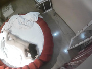 情趣酒店摄像头监控TP白发老头和年轻情妇啪啪动作勇猛喜欢插嘴