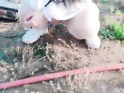 东北乡村猎艳地里干活的大叔们有福了骚逼勾搭